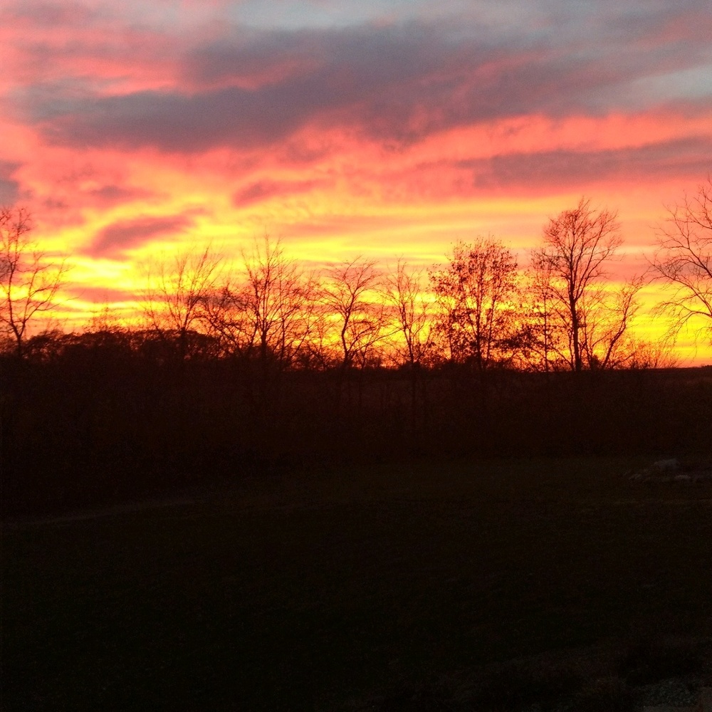 Meet your Posher, Molly